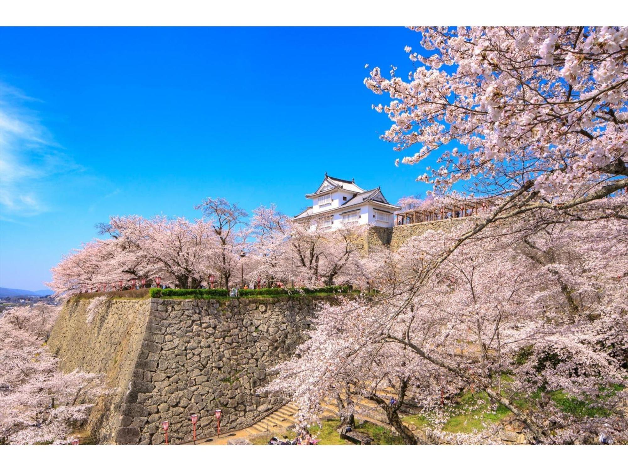 Tsuyama Kakuzan Hotel - Vacation Stay 75701V Buitenkant foto